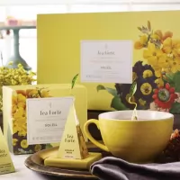 Set cadou Soleil ceai Tea Forte