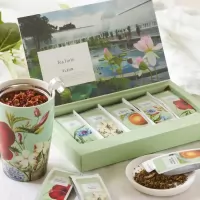 Infuzii de ceai colectia Fleur Tea Forte