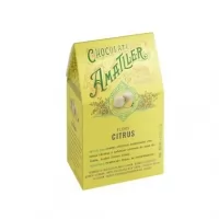 Pachet cadou cu vin alb Fiano Di Avellino praline Amatller si praline Valentino