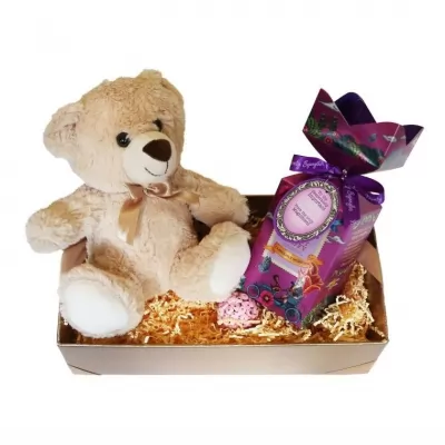 Pachet cadou pentru copii cu ursulet de plus si trufe de ciocolata  Monty