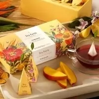 Cutie cu 10 piramide de ceai Organic Colectia Paradis Tea Forte