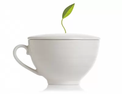 Ceasca pentru ceai din portelen Cafe Cup Tea Forte